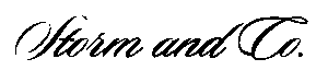 Storm n Co Logo